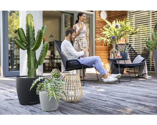 Scenă cu plante în ghivece, mobilier de ședere și persoane relaxate pe o terasă