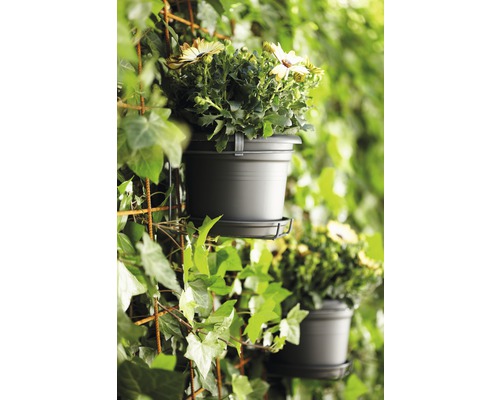 Flori în ghivece atașate la un spalier pentru plante.