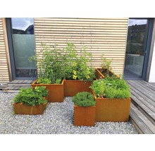 Mai multe jardiniere ruginite de diferite dimensiuni cu plante în grădină.