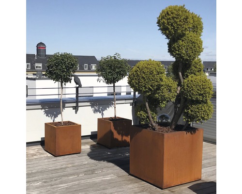 Trei jardiniere metalice cu copaci pe o terasă