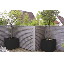 Scenă de grădină cu gard din lemn și jardiniere pătrate cu copaci