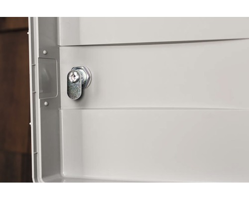 Interior dulap cu încuietoare