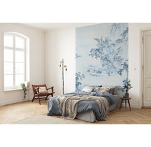 Fototapet vlies R2-005 Blue China 200x280 cm