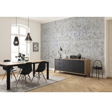 Fototapet vlies R4-041 Origins 400x280 cm