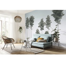 Fototapet vlies R4-040 Pines 400x280 cm