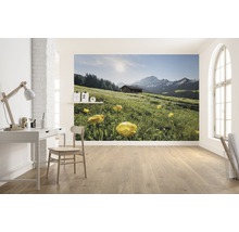 Fototapet vlies SHX8-003 Alpine Luck 400x280 cm
