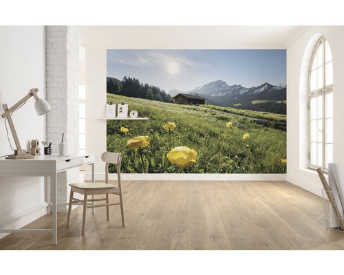 Tapetă foto cu peisaj montan și cabană alpină într-o cameră luminoasă