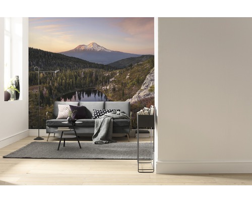 Cameră de zi cu fototapet cu peisaj montan, canapea, covor și lampadar