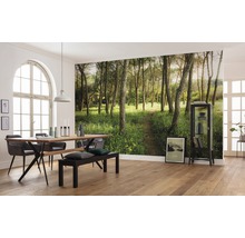Fototapet vlies SHX9-011 Magic Flower Forest 450x280 cm