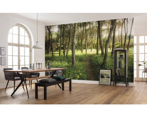 Sufragerie cu tapet cu pădure, masă de sufragerie și bancă pentru o atmosferă naturală.