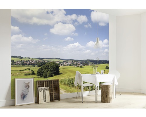 Tapetă foto cu motiv de peisaj într-o sufragerie luminoasă