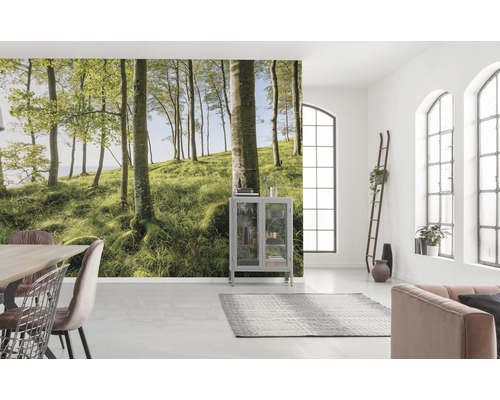 Cameră luminoasă cu fototapet cu o pădure, mobilier și ferestre