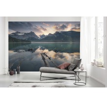 Fototapet vlies SHX9-012 Burning Emerald 450x280 cm
