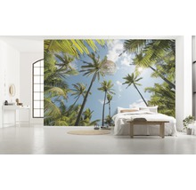 Fototapet vlies SHX9-108 Coconut Heaven 450x280 cm
