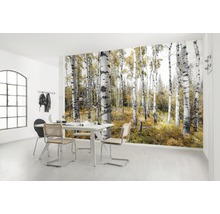 Cameră luminoasă cu fototapet care înfățișează o pădure de mesteceni