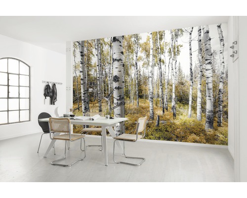 Cameră luminoasă cu fototapet care înfățișează o pădure de mesteceni