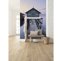 Fototapet vlies SHX4-019 The green boat house 200x280 cm