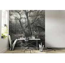 Fototapet vlies SHX5-018 The Model 250x280 cm