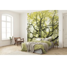 Fototapet vlies SHX6-020 The Dream Tree 300x280 cm