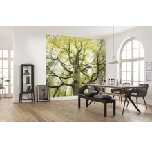Fototapet vlies SHX9-020 The Dream Tree 450x280 cm