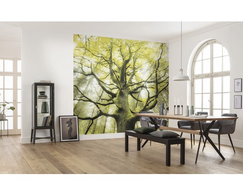 Sufragerie cu fototapet cu un copac în pădure, masă cu scaune și bancă și vitrină.