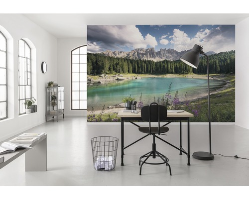 Cameră luminoasă cu fototapet care prezintă un lac și munți, birou și scaun