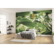 Fototapet vlies SHX9-024 Jungle roof II 450x280 cm