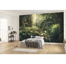 Fototapet vlies SHX9-028 Elves Cathedral 450x280 cm