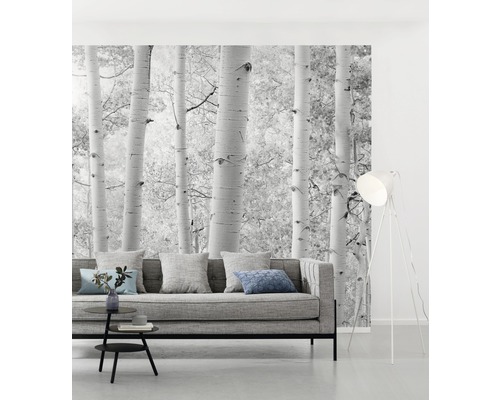 Living cu fototapet cu pădure de mesteacăn, canapea, lampadar și masă