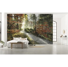 Fototapet vlies SHX9-031 Fire tongues 450x280 cm