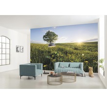 Fototapet vlies SHX9-034 Spring in the Countryside 450x280 cm