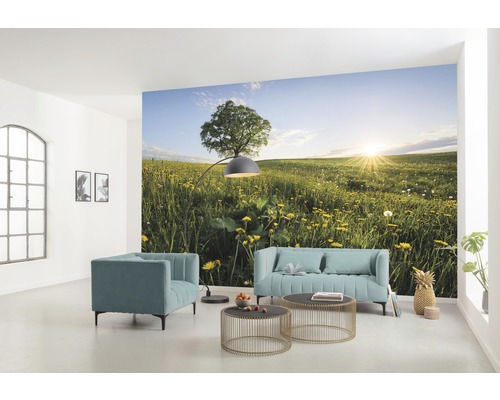 Cameră de zi cu fototapet cu o pajiște cu copac