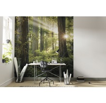 Fototapet vlies SHX5-037 Goblins Woods 250x280 cm