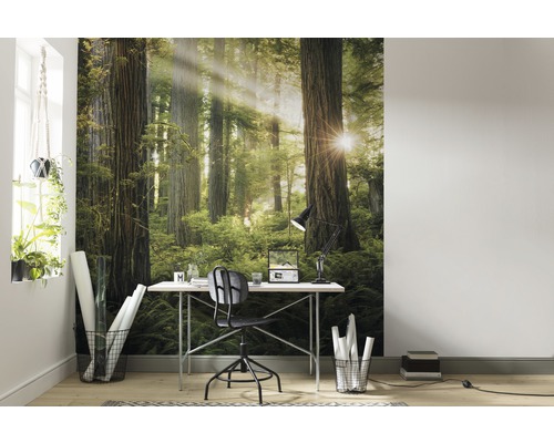 Cameră de lucru cu tapet cu pădure, birou și scaun de birou