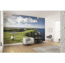 Fototapet vlies SHX9-040 Green Ireland 450x280 cm