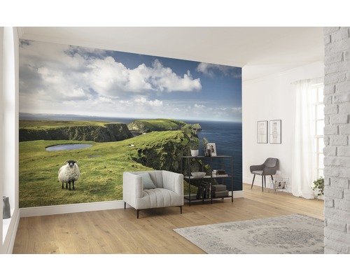 Cameră de zi cu fototapet cu un peisaj de coastă cu o oaie