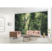 Fototapet vlies SHX9-114 Green Leaves 450x280 cm