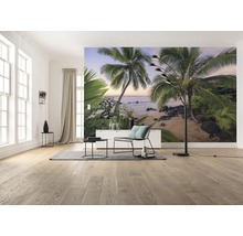 Fototapet vlies SHX9-116 Hawaiian Dreams 450x280 cm