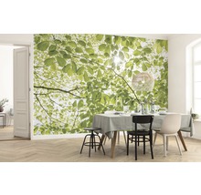 Fototapet vlies SHX9-045 In the Spring Forest 450x280 cm