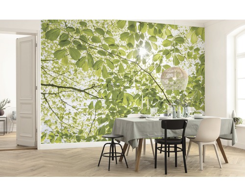 Cameră de zi cu fototapet cu motiv de baldachin de frunze, masă de sufragerie și scaune