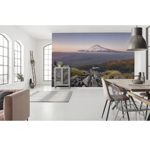 Fototapet vlies SHX9-050 Kingdom of a Mountain 450x280 cm
