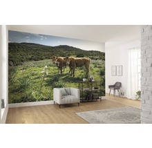 Fototapet vlies SHX9-051 Kow Paradise 450x280 cm
