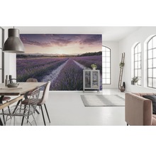 Fototapet vlies SHX9-052 Lavender Dream 450x280 cm