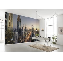 Fototapet vlies SHX9-118 Level 43 450x280 cm