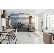 Fototapet vlies SHX9-055 Magic Sellin 450x280 cm