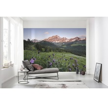 Fototapet vlies SHX9-069 Picturesque Switzerland 450x280 cm