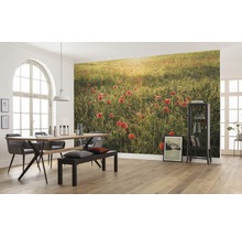 Fototapet vlies SHX9-071 Poppy World 450x280 cm