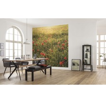 Fototapet vlies SHX5-071 Poppy World 250x280 cm