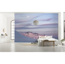 Fototapet vlies SHX9-074 Purple Dinner 450x280 cm