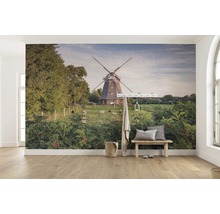 Fototapet vlies SHX9-083 Days like this 450x280 cm